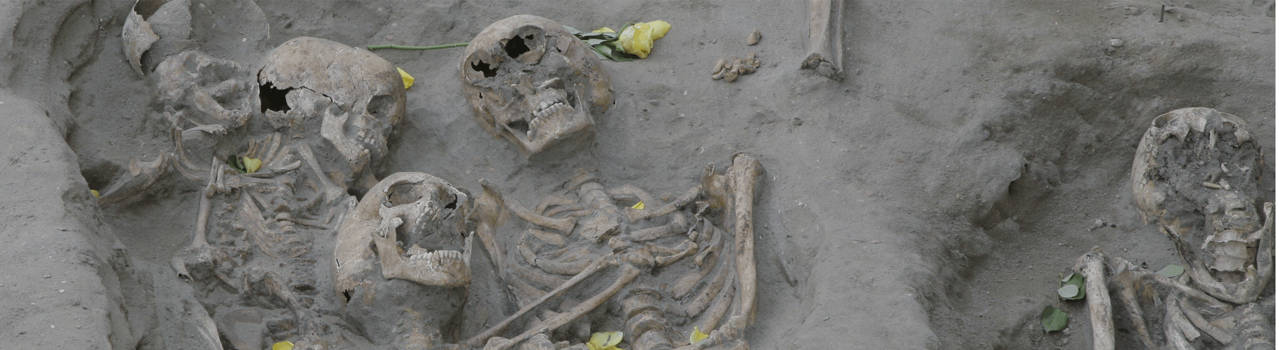 Aktuelle Ausgrabungen In Deutschland